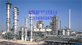 山东泓瑞医药科技股份公司（安全联锁控制系统）